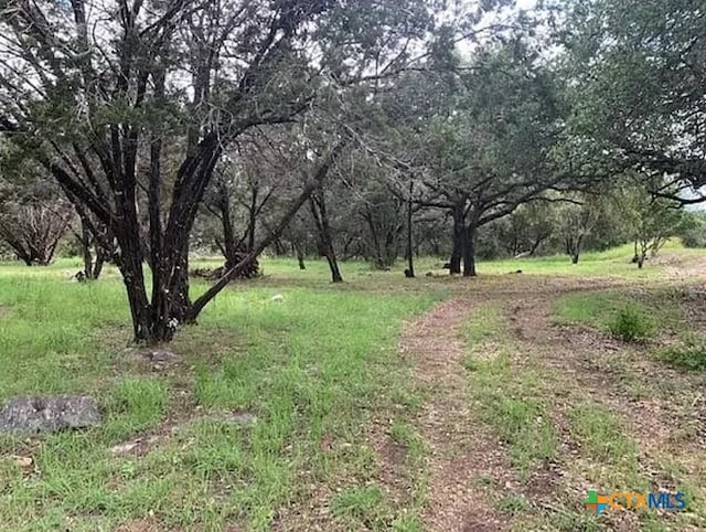 Listing photo 3 for TBD Pinkerton Loop, Horseshoe Bay TX 78657