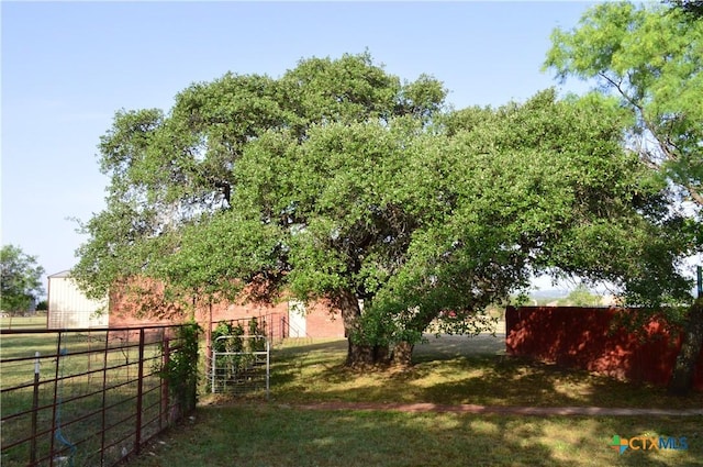 391 County Road 3150, Kempner, TX 76539 - view of yard
