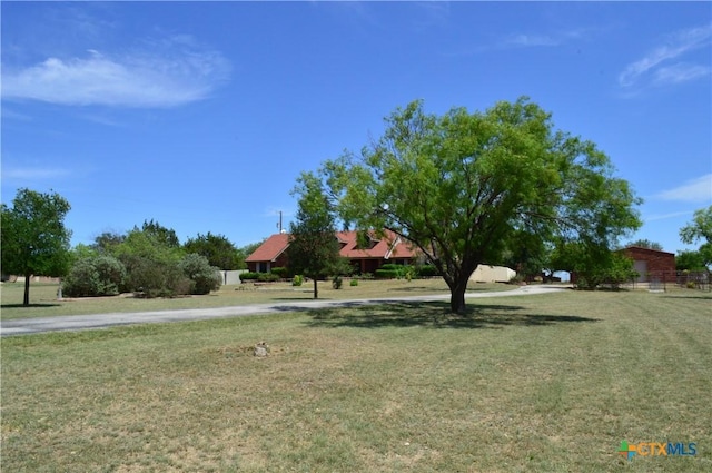 391 County Road 3150, Kempner, TX 76539 - view of yard