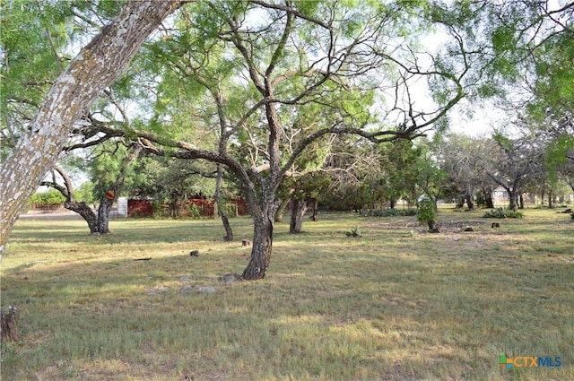 391 County Road 3150, Kempner, TX 76539 - view of grassy yard