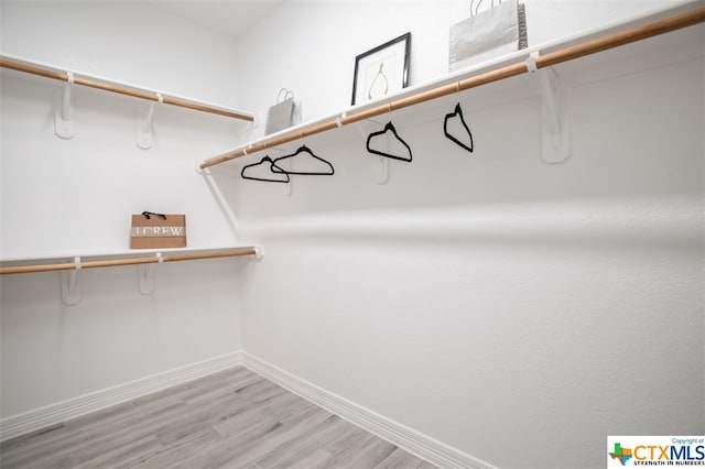 spacious closet with hardwood / wood-style flooring