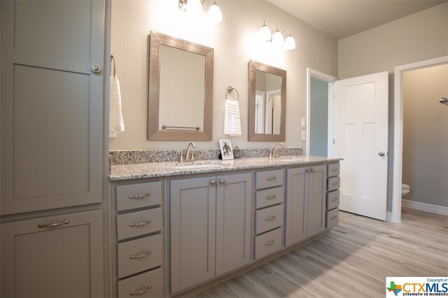 bathroom with wood-type flooring, vanity, and toilet