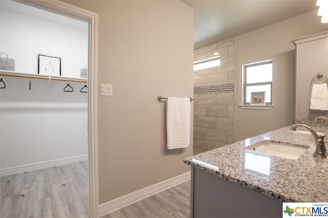 bathroom with hardwood / wood-style floors and vanity