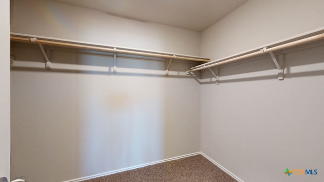 walk in closet with carpet flooring