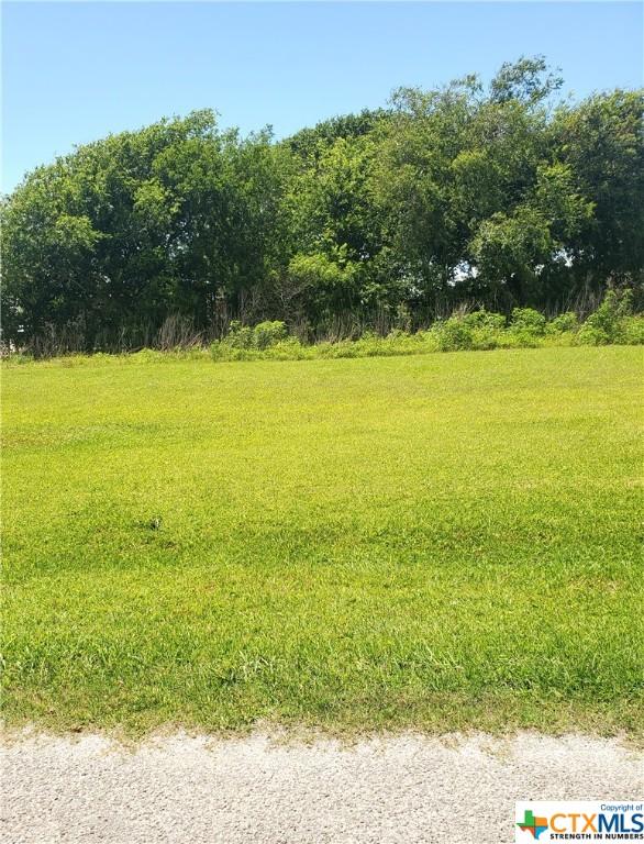 0 Pine St, Seadrift, TX 77983 - photo 4