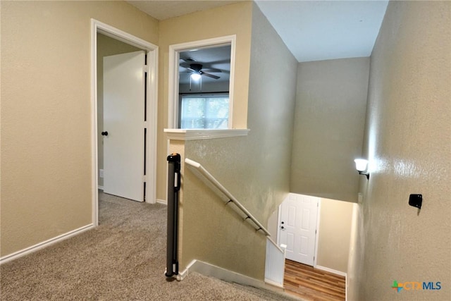 staircase with baseboards and carpet floors