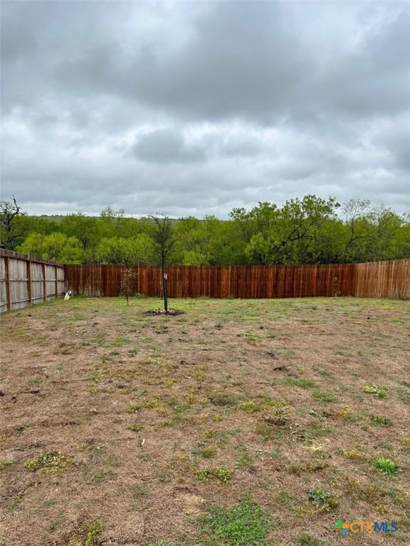 3208 Ridge Rover, Seguin, TX 78155 - photo 6