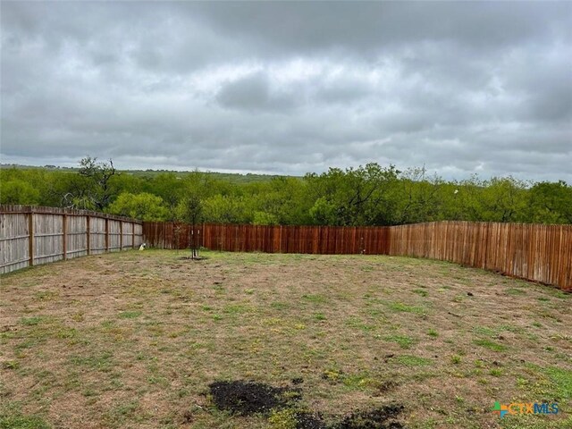 3208 Ridge Rover, Seguin, TX 78155 - photo 5