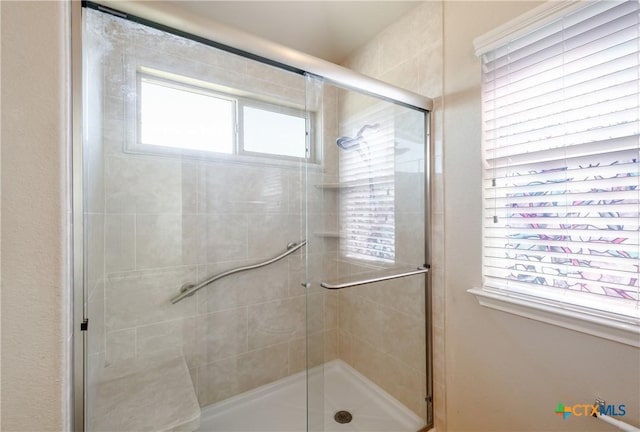 bathroom featuring a shower stall