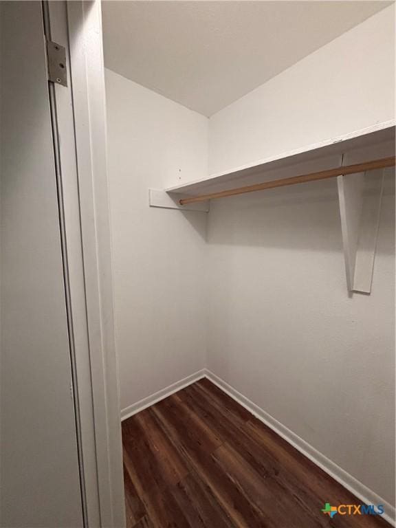 spacious closet featuring dark hardwood / wood-style floors