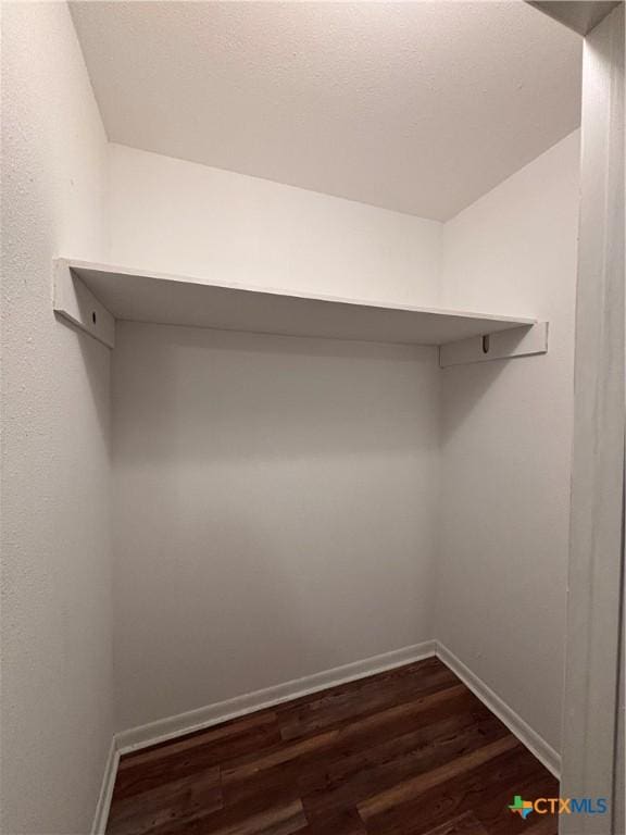 spacious closet featuring dark wood-type flooring