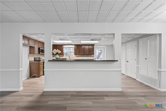 kitchen featuring tasteful backsplash, appliances with stainless steel finishes, kitchen peninsula, and light hardwood / wood-style floors