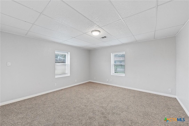 empty room featuring a drop ceiling and carpet flooring