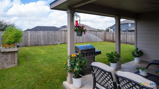2296 Olive Hill Dr, New Braunfels, TX 78130 - photo 19