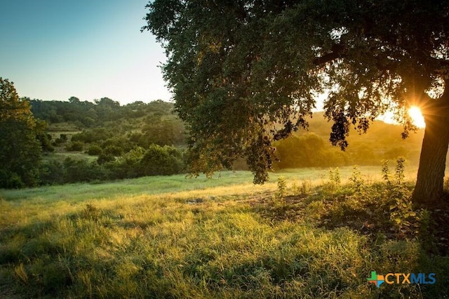 nature at dusk with a rural view