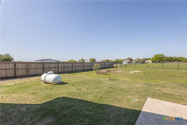 4324 Cedar Creek Rd, Temple, TX 76504 - view of yard