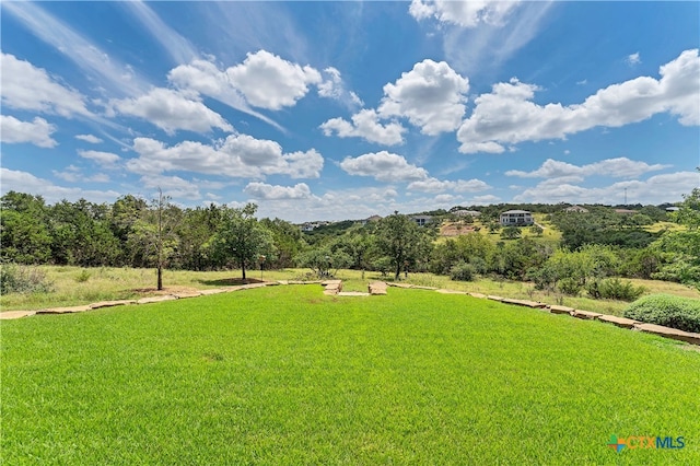 view of yard with a rural view