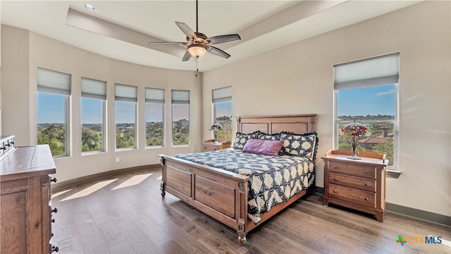 bedroom with wood-type flooring, ceiling fan, and a tray ceiling