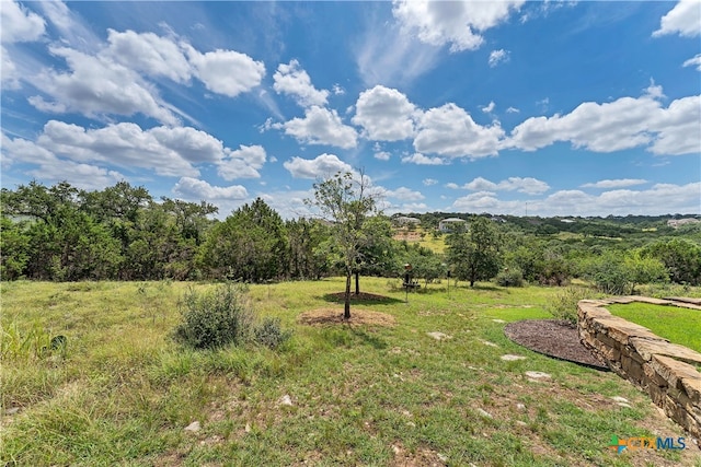 view of yard with a rural view