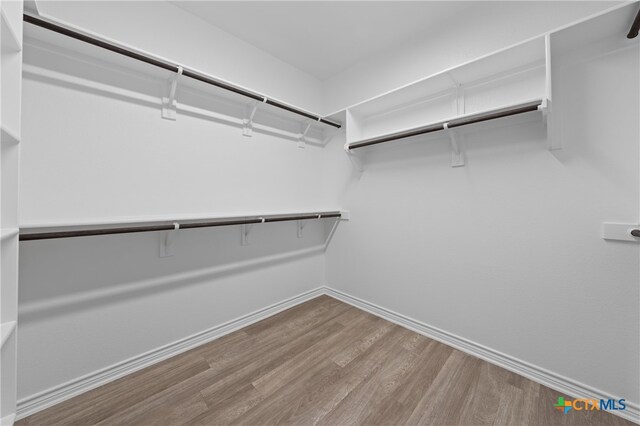 spacious closet featuring wood finished floors