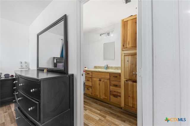 bathroom featuring wood-type flooring and vanity