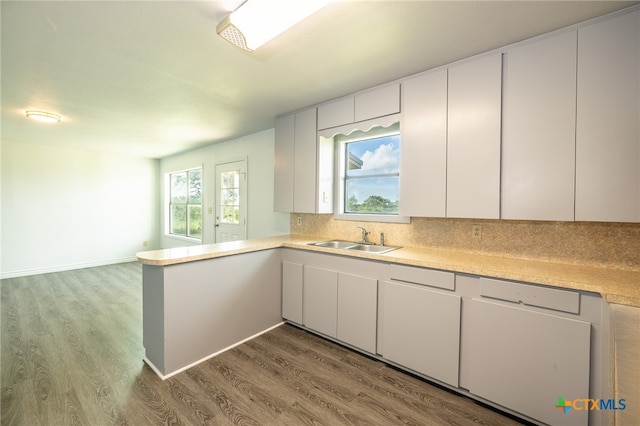 kitchen with white cabinetry, hardwood / wood-style flooring, decorative backsplash, and sink