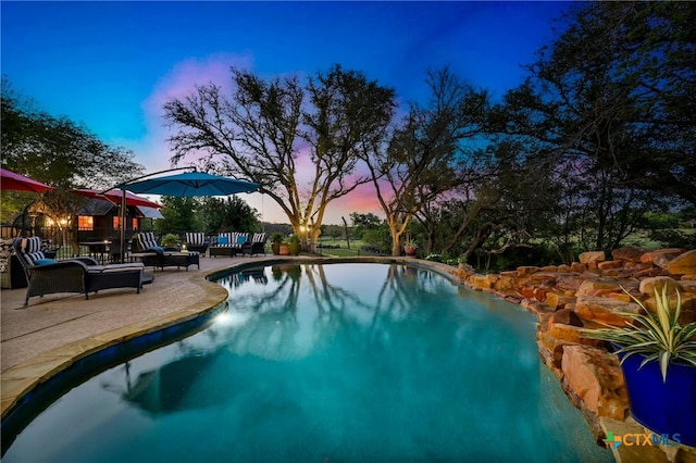 913 Southridge Rd, Salado, TX 76571 - outdoor pool featuring a patio
