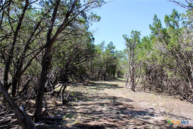 LOT89 N Stallion Estates Dr, Spring Branch TX, 78070 land for sale