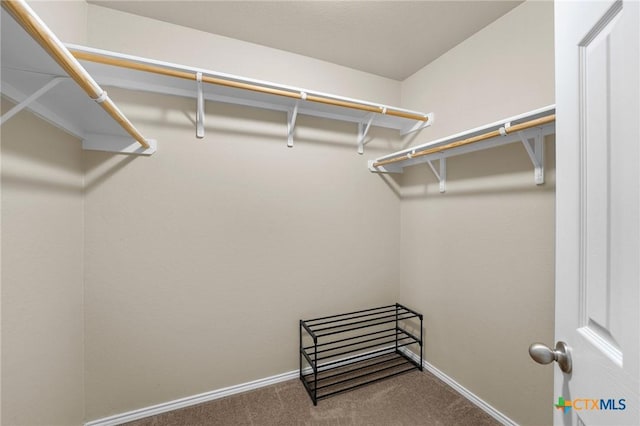 824 Starlight Dr, Temple, TX 76502 - spacious closet featuring carpet floors