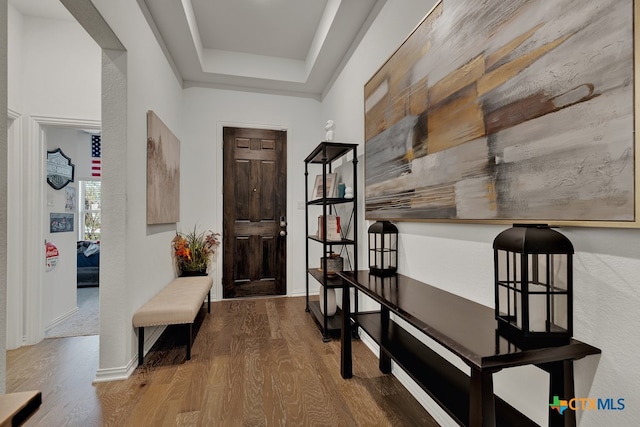 foyer with hardwood / wood-style floors and a tray ceiling