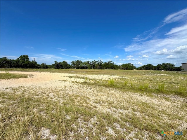 311 Toucan Dr, Spring Branch, TX 78070 - photo 9