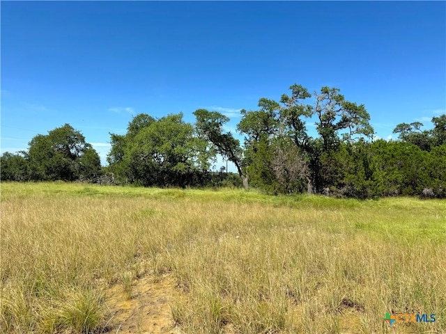 311 Toucan Dr, Spring Branch, TX 78070 - photo 11