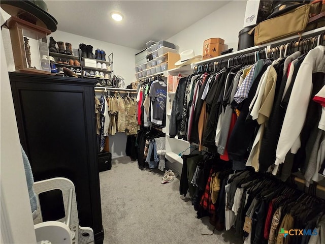 spacious closet featuring carpet