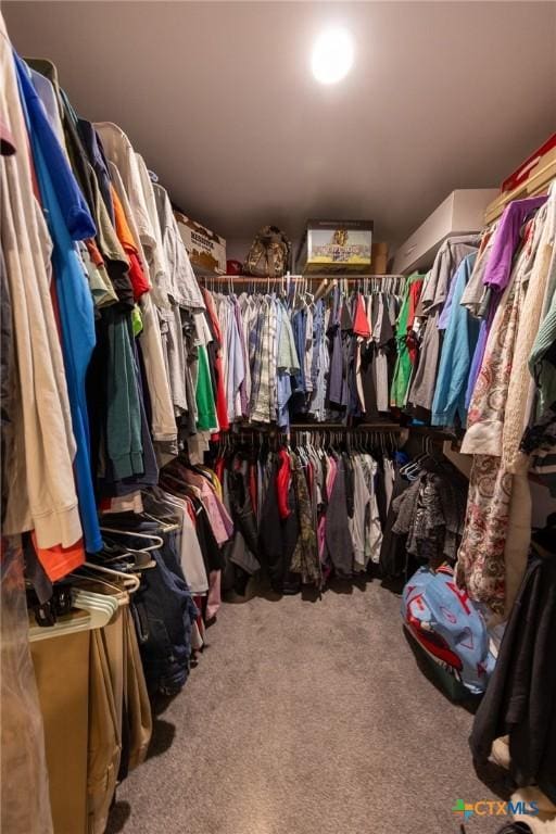 108 Elaine St, Victoria, TX 77904 - walk in closet with carpet