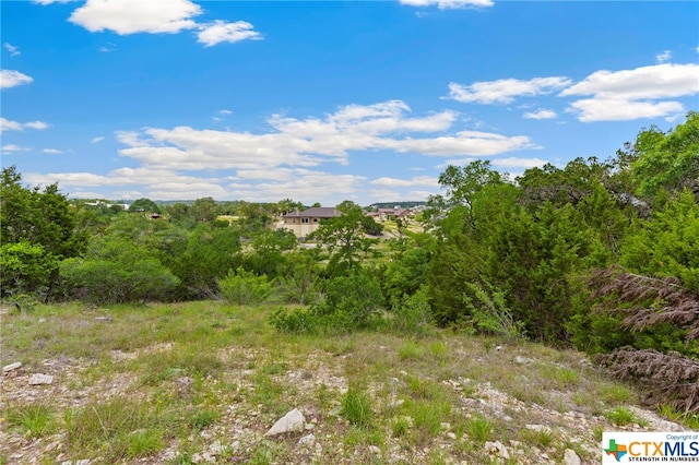 Listing photo 2 for 1485 Stahlman Way, New Braunfels TX 78132