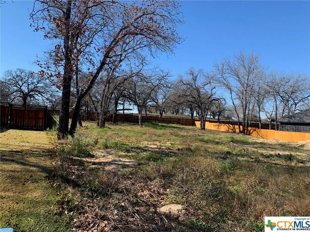 213 Ash Pkwy, La Vernia, TX 78121