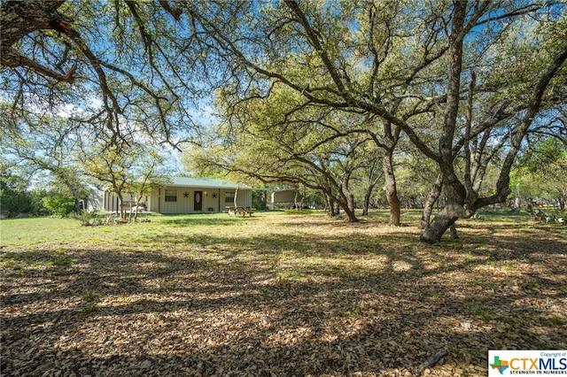 view of yard with covered porch