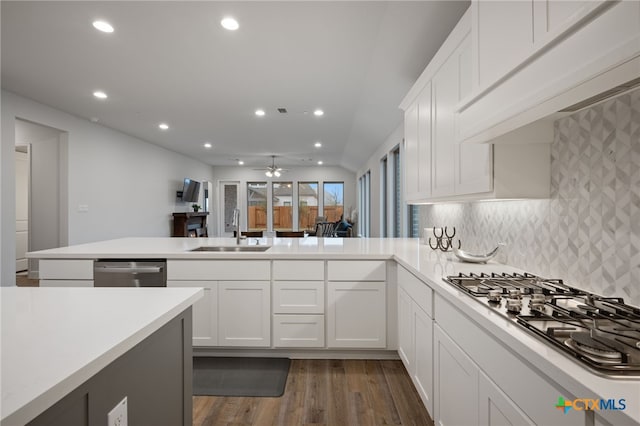 kitchen with light countertops, appliances with stainless steel finishes, a sink, a peninsula, and exhaust hood