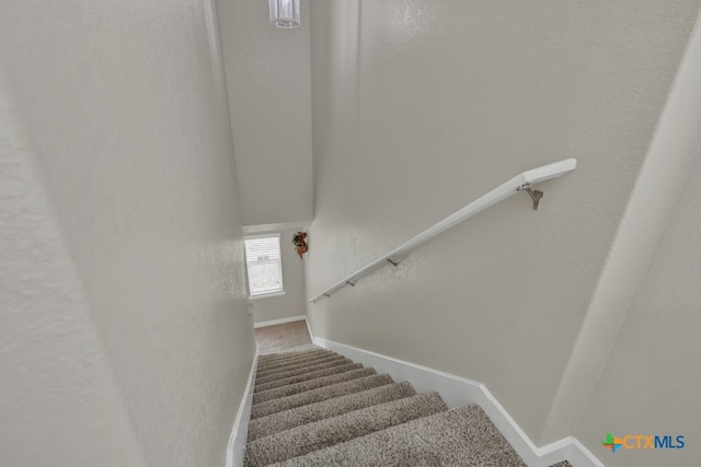 staircase with carpet flooring