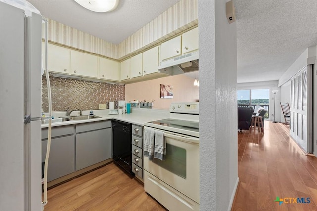 kitchen with dishwasher, under cabinet range hood, a sink, and a textured ceiling