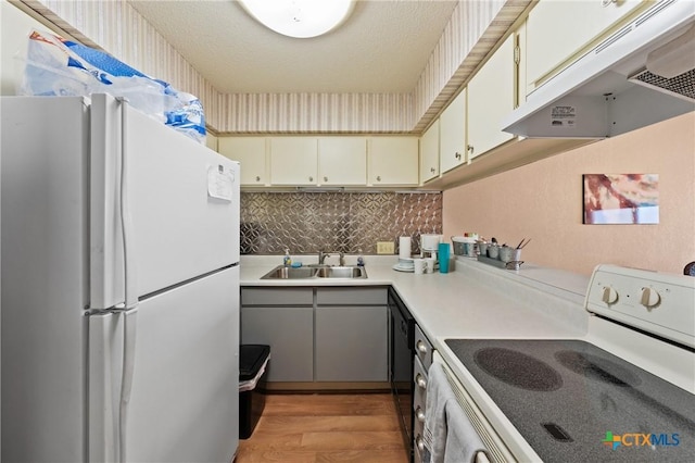 kitchen featuring under cabinet range hood, white appliances, a sink, light countertops, and light wood-type flooring