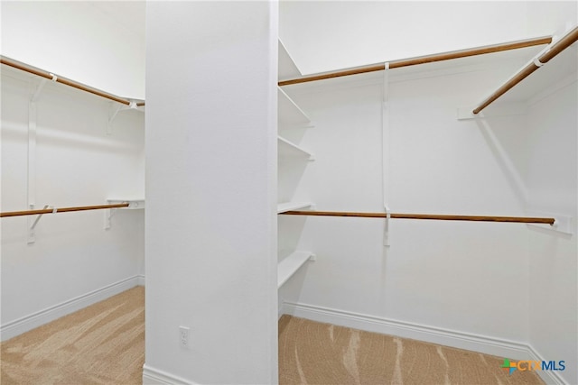 815 Lost Maples Trl, Georgetown, TX 78633 - spacious closet with carpet floors