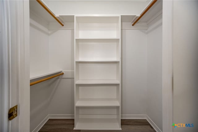 spacious closet featuring dark wood-type flooring