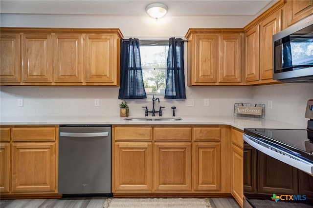 kitchen featuring light hardwood / wood-style floors, sink, and stainless steel appliances