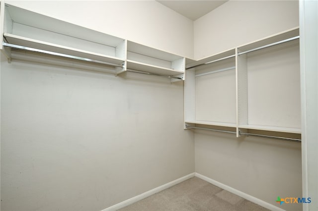 walk in closet featuring carpet flooring