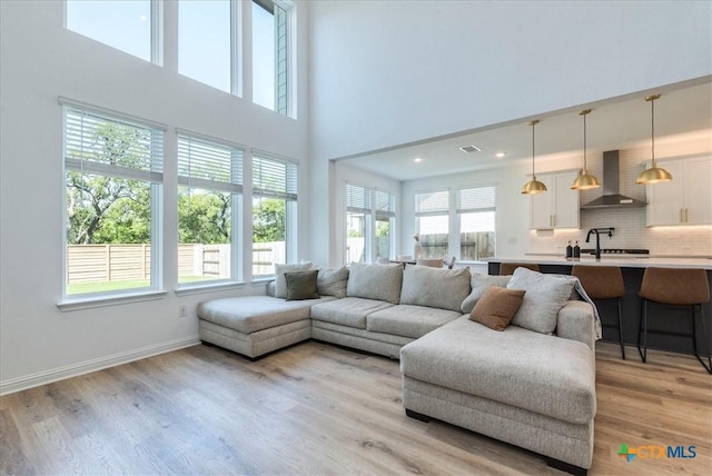 288 Smithsonian Ln, Kyle, TX 78640 - living area featuring light wood-style flooring, a wealth of natural light, baseboards, and a high ceiling