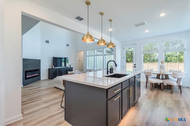 288 Smithsonian Ln, Kyle, TX 78640 - kitchen with stainless steel dishwasher, a sink, light wood-style flooring, light countertops, and visible vents