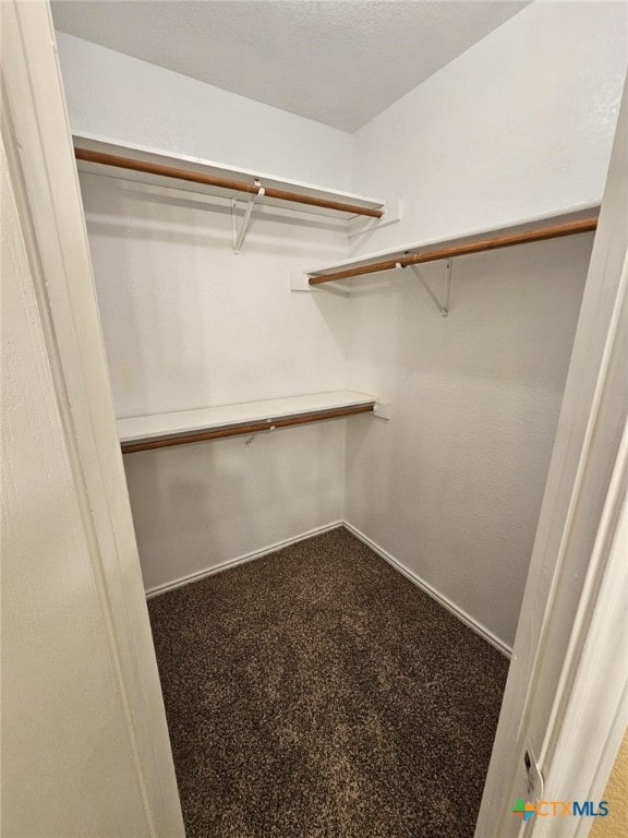 walk in closet featuring carpet floors