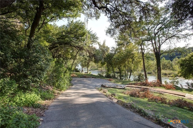 view of street featuring a water view and a view of trees