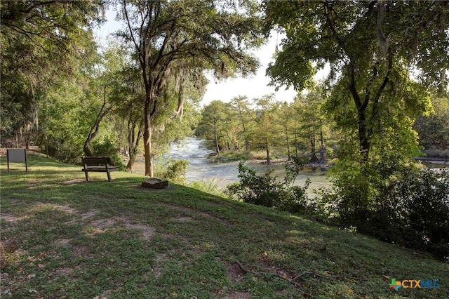 view of yard featuring a view of trees